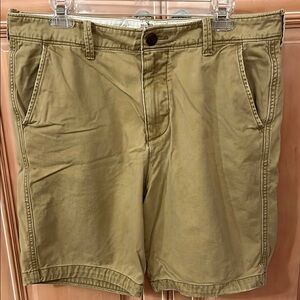 Hollister Tan Chinos Classic Fit